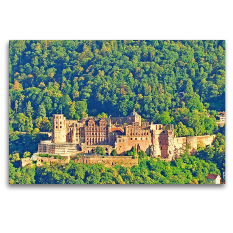 Schloss Heidelberg