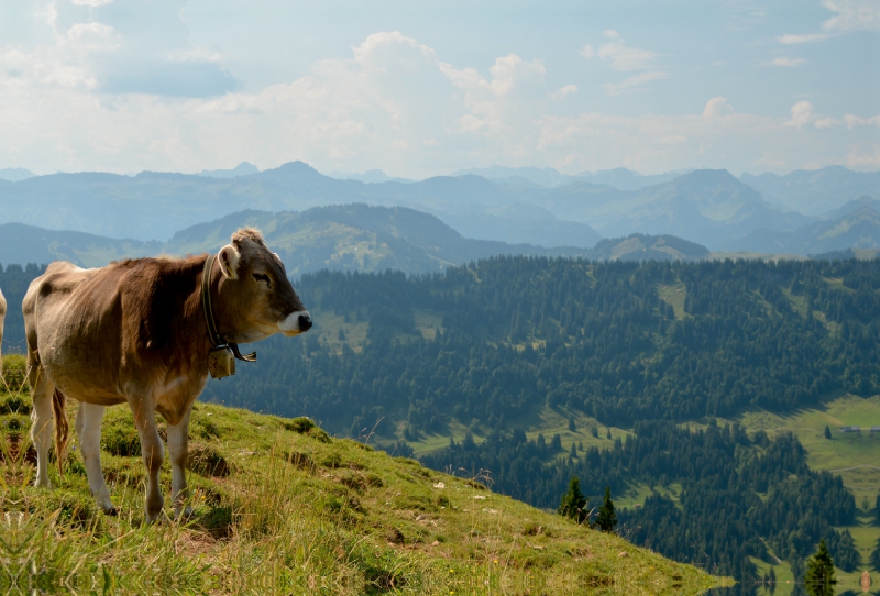 Schöne Aussichten