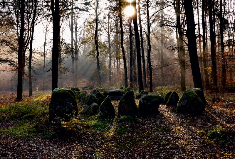 Hünengrab im Klecker Wald