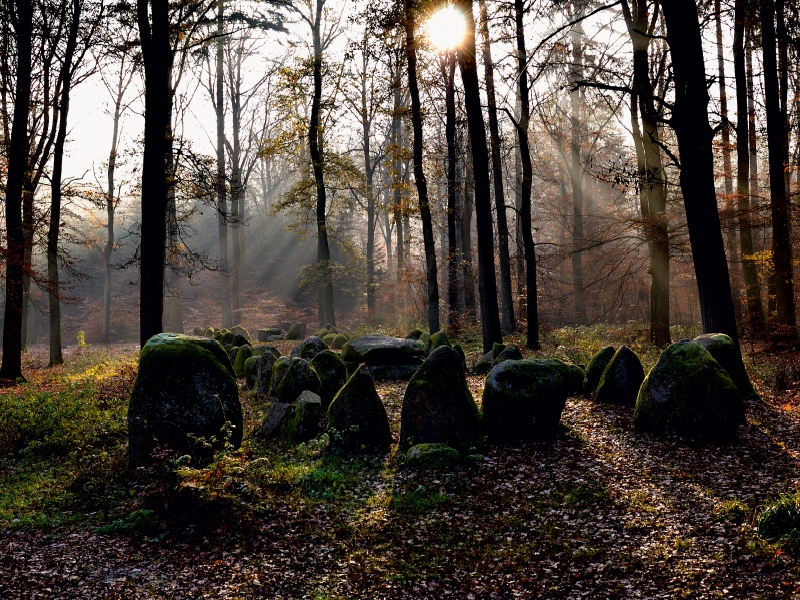 Hünengrab im Klecker Wald