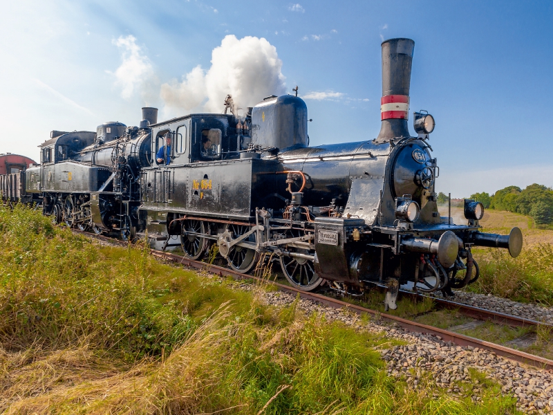 Die  Dampfloks S1916 und F654 der Angelner Dampfeisenbahn