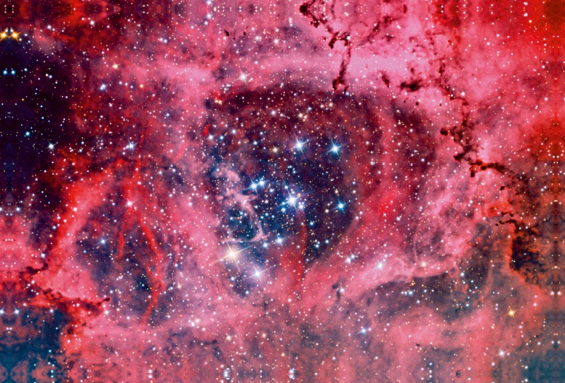 Rosettennebel NGC 2244