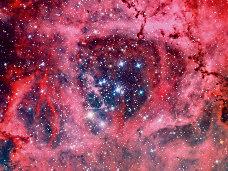 Rosettennebel NGC 2244