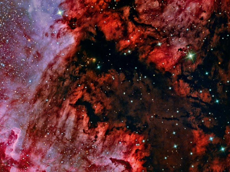 Nordamerikanebel NGC 7000