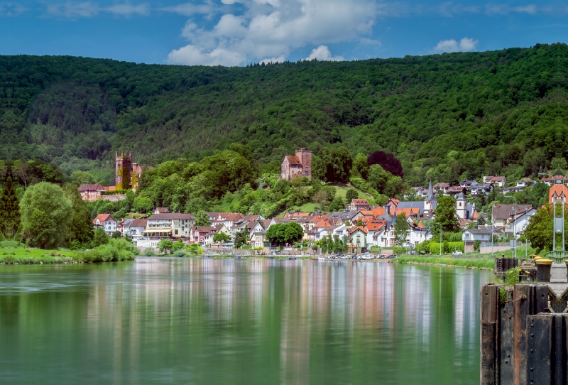 Neckarsteinach - Die Vierburgenstadt