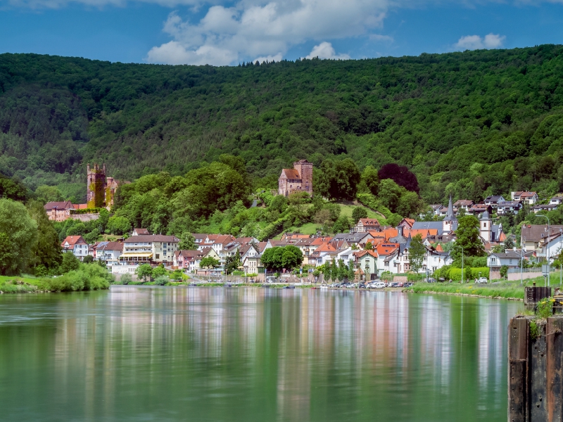 Neckarsteinach - Die Vierburgenstadt