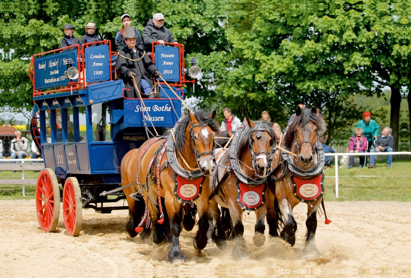 Fünf Rheinisch- Deutsche Kaltblüter vor einem Omnibus von 1880