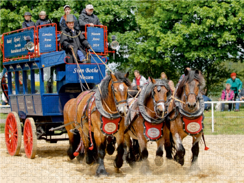 Fünf Rheinisch- Deutsche Kaltblüter vor einem Omnibus von 1880