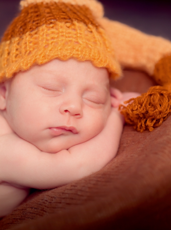 Ein Motiv aus dem Kalender Babys - Die Liebe des Lebens