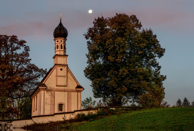 Ramsachkircherl 'Ähndl'