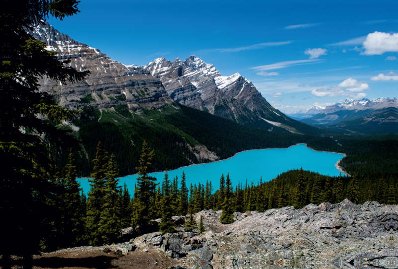 Peyto Lake