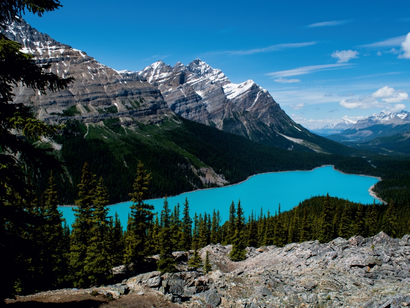 Peyto Lake