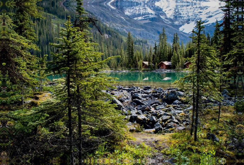 Lake O'Hara