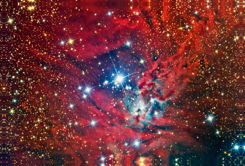 Weihnachtsbaum-Sternhaufen NGC 2264