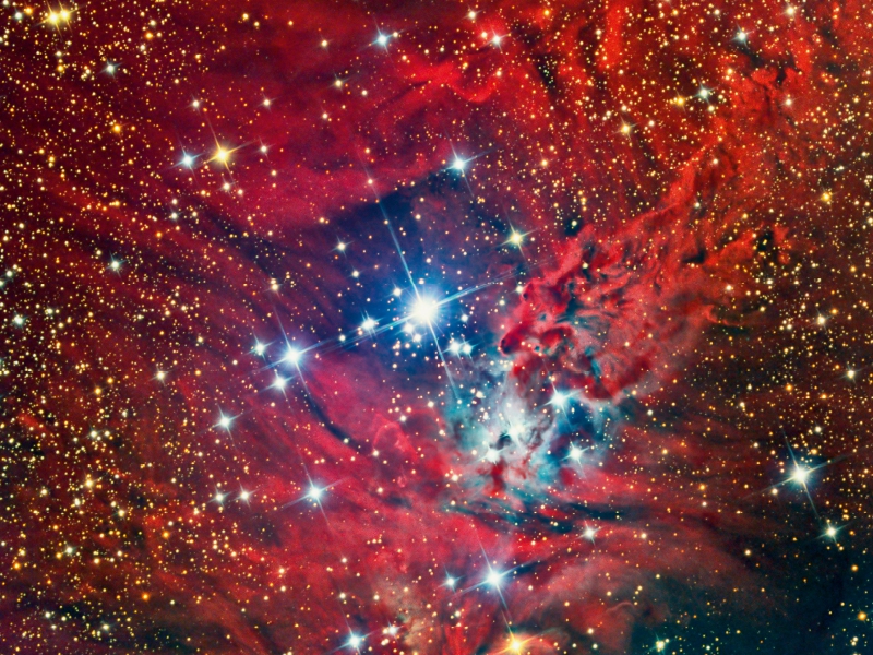 Weihnachtsbaum-Sternhaufen NGC 2264