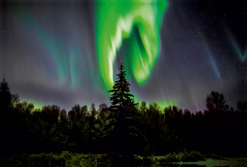 Polarlicht in Fairbanks, Alaska, USA