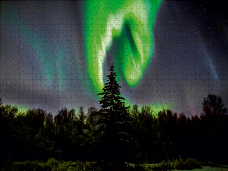 Polarlicht in Fairbanks, Alaska, USA