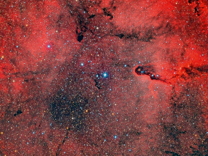 Elefantenrüssel-Nebel IC 1396