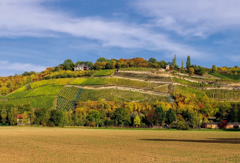 Steillagen bei Naumburg