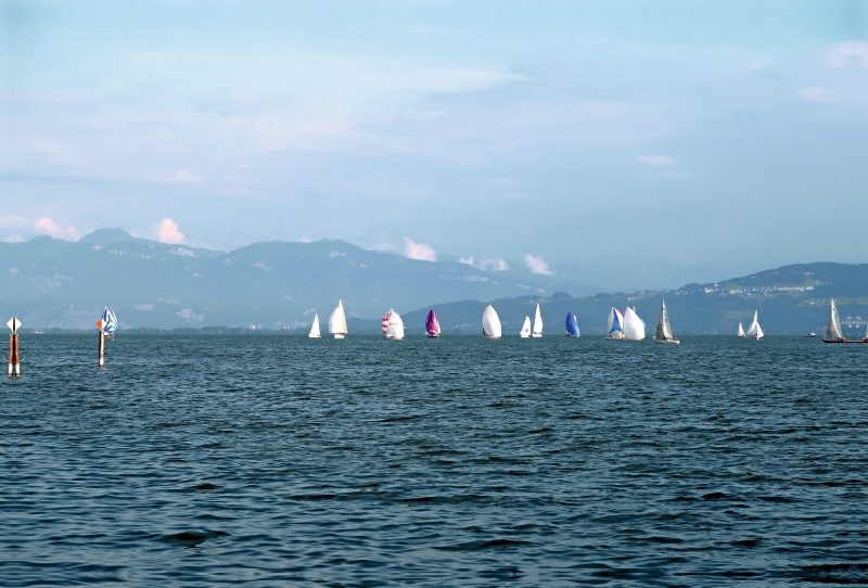 Obersee Pokal Regatta