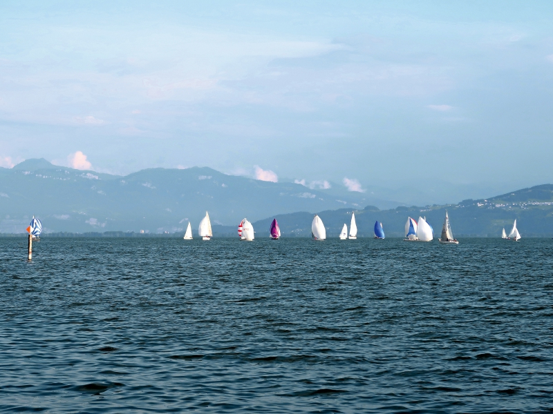 Obersee Pokal Regatta