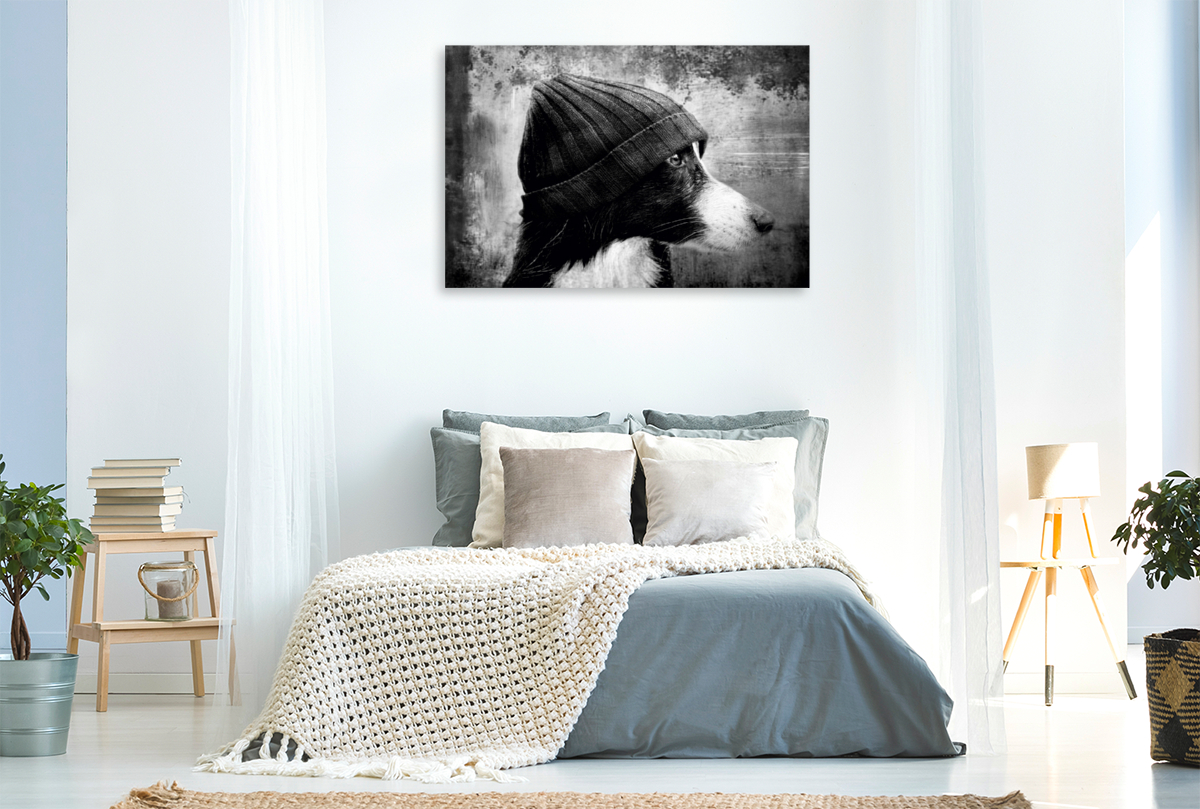 Bild auf Leinwand Border Collie