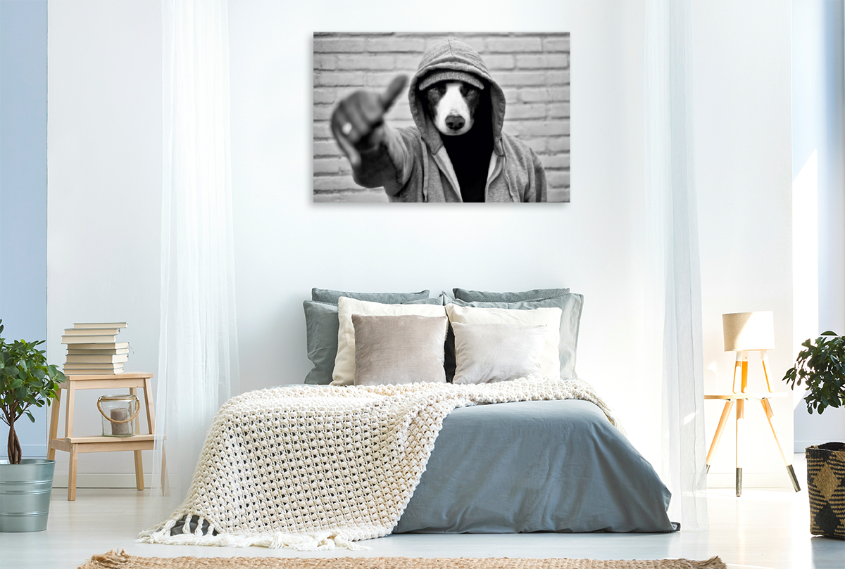 Border Collie Bild auf Leinwand