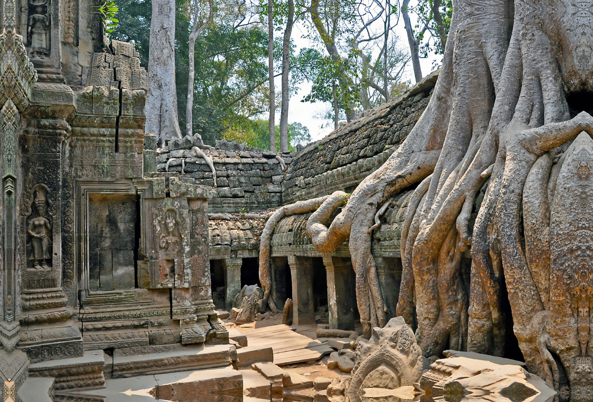 Ta Prohm-Tempel