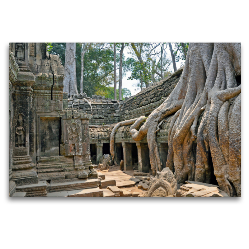 Ta Prohm-Tempel