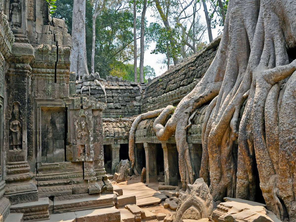 Ta Prohm-Tempel