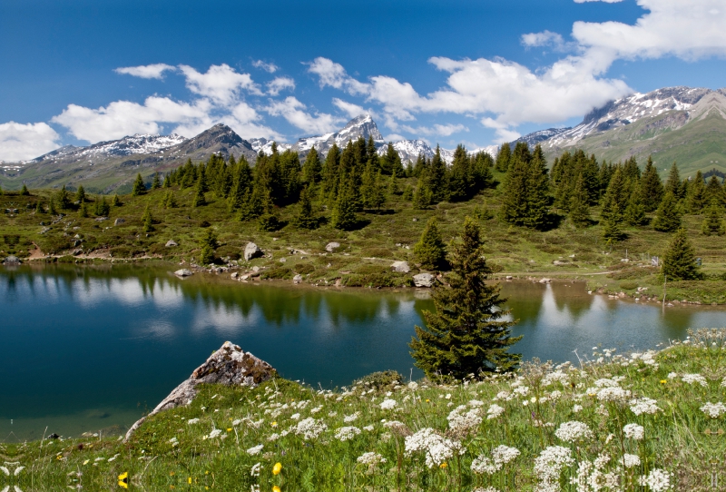 Alpenpanorama in Graubünden