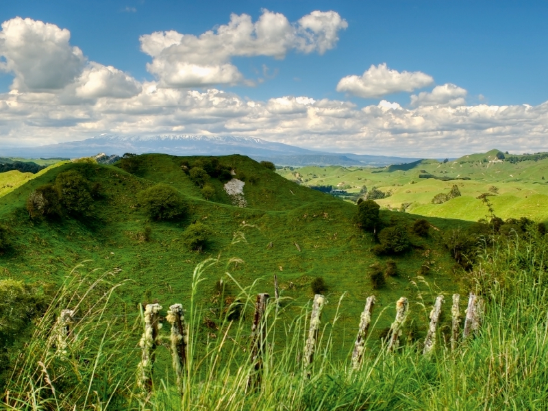 Ein Motiv aus dem Kalender Aotearoa - Land der langen weißen Wolke