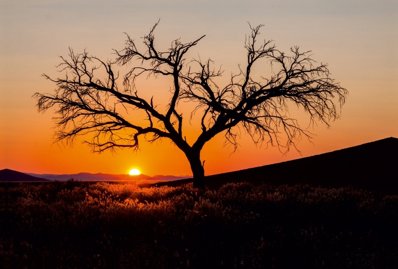 NAMIBIA - SOSSUSVLEI