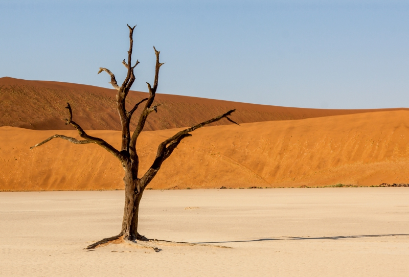 NAMIBIA - SOSSUSVLEI