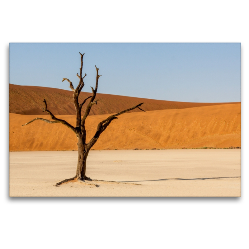 NAMIBIA - SOSSUSVLEI