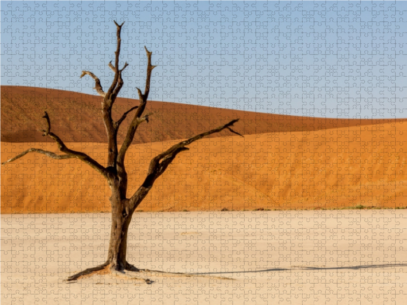 NAMIBIA - SOSSUSVLEI