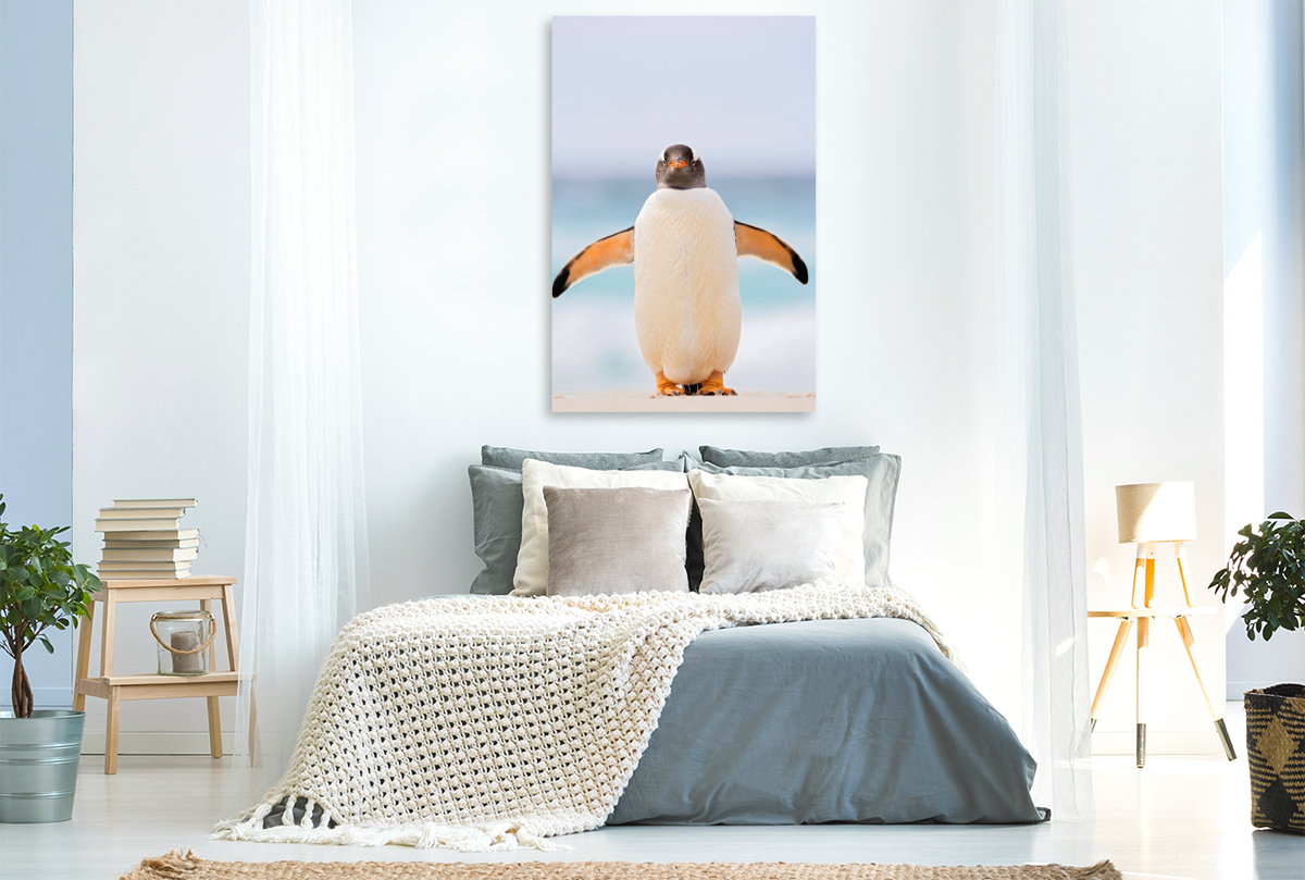 Hallo Pinguin