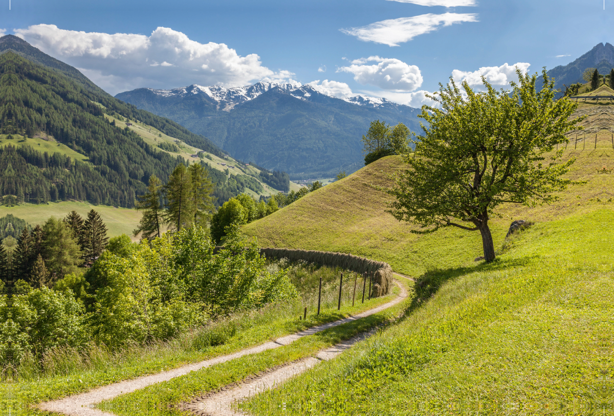 Ahrntaler Sonnenweg bei St. Johann in Südtirol, Italien