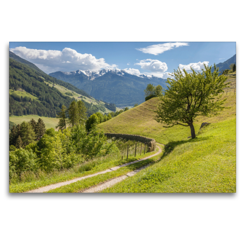 Ahrntaler Sonnenweg bei St. Johann in Südtirol, Italien