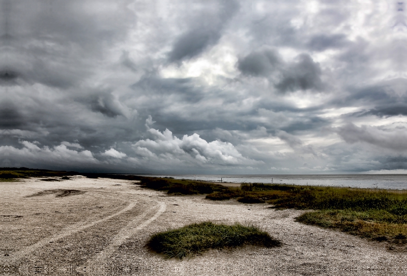 Sønderho Strand