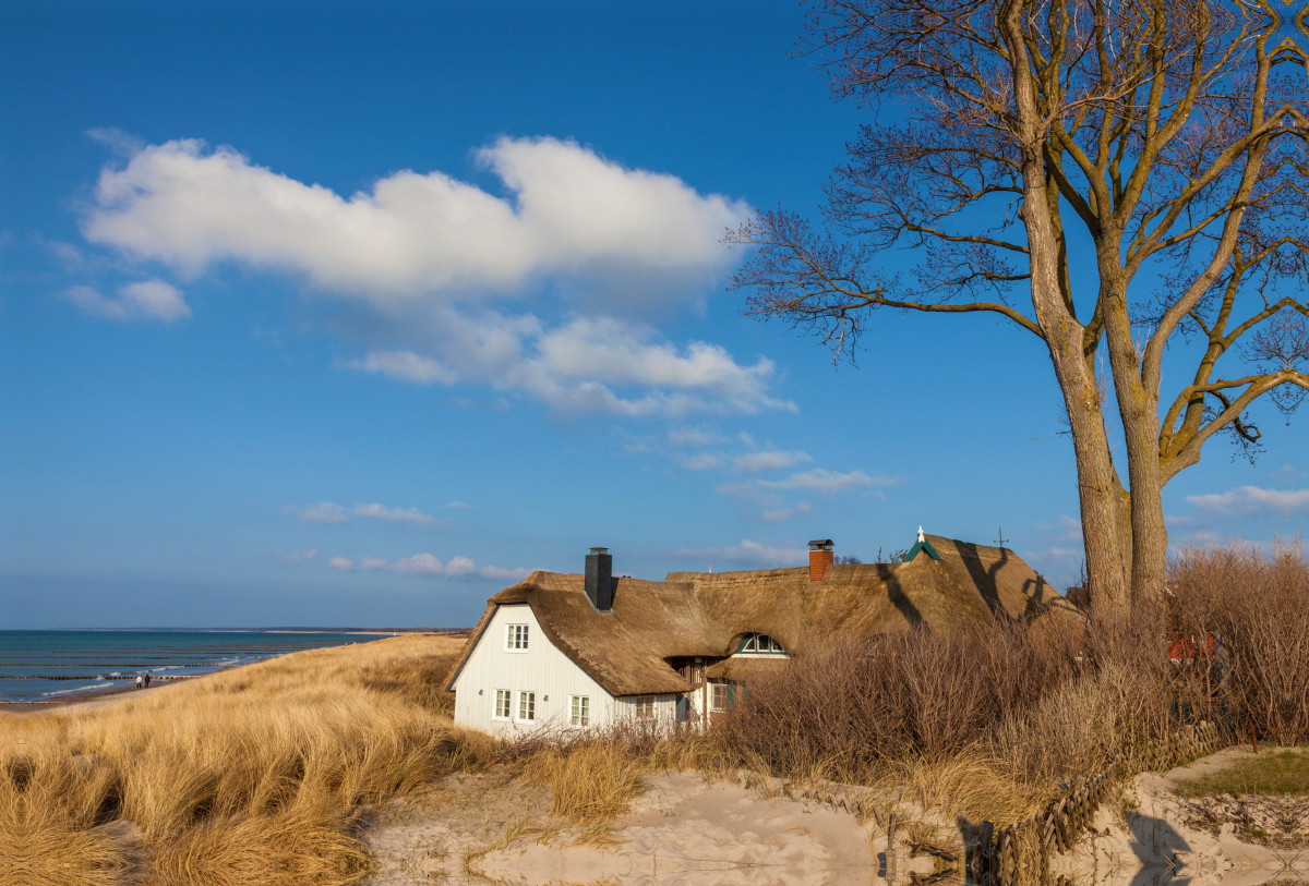 Altes Deichhaus in Ahrenshoop