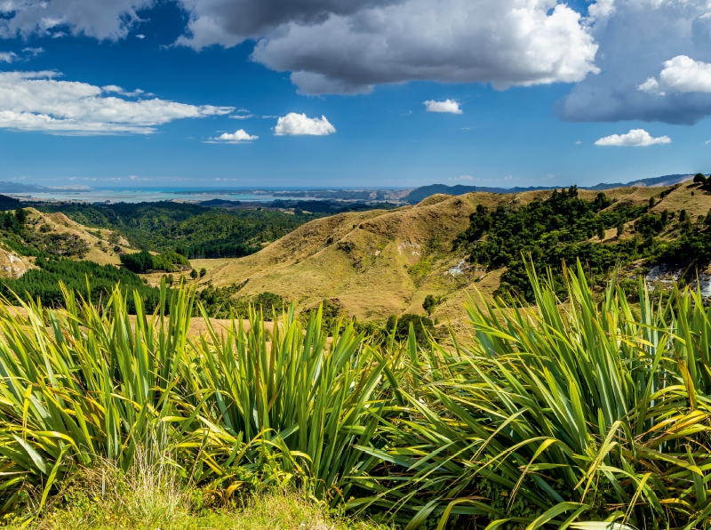 Coromandel Peninsula - Nordinsel Neuseeland