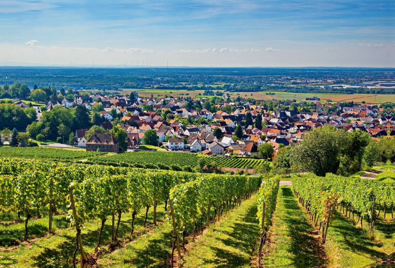 Blick vom Abtsberg auf den Ort