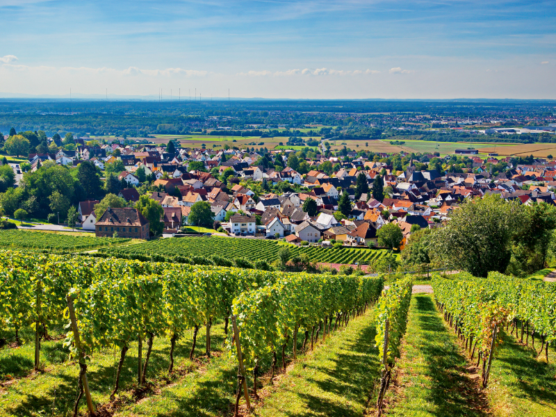 Blick vom Abtsberg auf den Ort