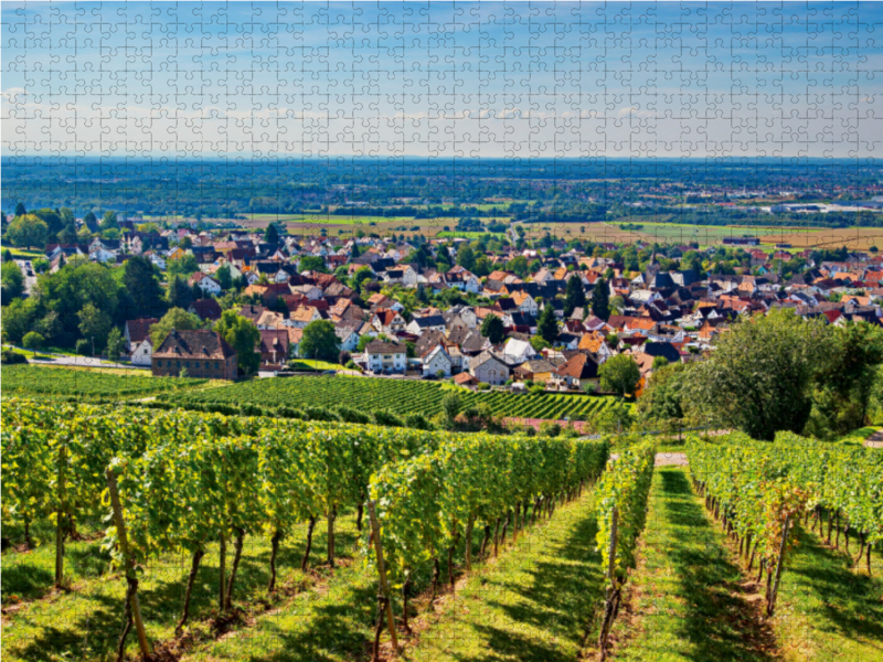 Blick vom Abtsberg auf den Ort