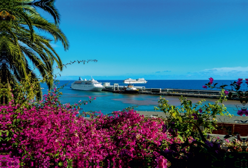 Kreuzfahrtschiffe vor Funchal, Madeira