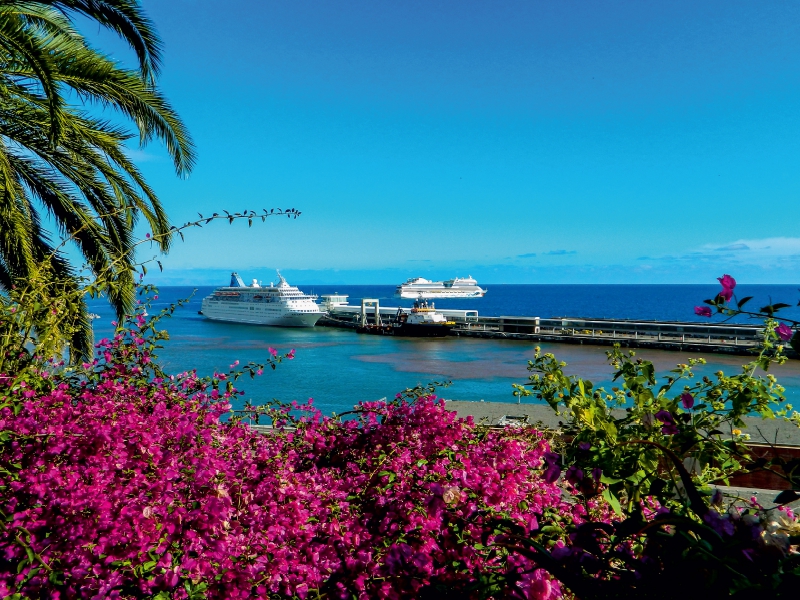 Kreuzfahrtschiffe vor Funchal, Madeira