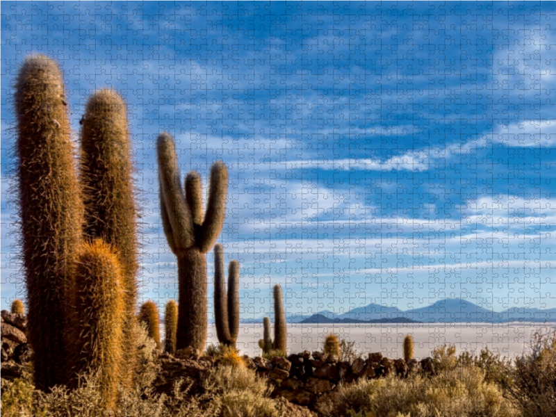 Ein Motiv aus dem Kalender Bolivien - Einzigartige  Landschaft