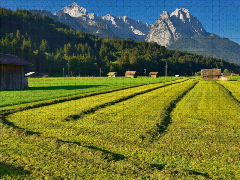 Wiesen mit Zugspitzblick