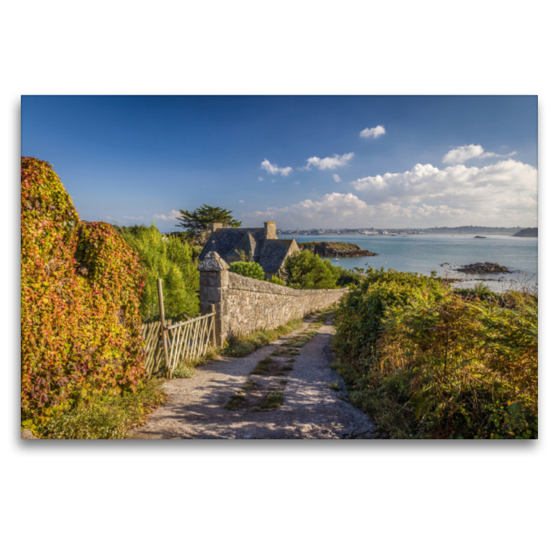 Pfad zum Meer auf der Ile de Batz in der Bretagne, Frankreich